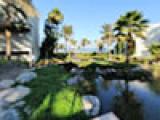 Palm Tree Court - Gardens